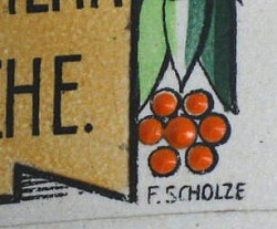 Franz Scholze 3